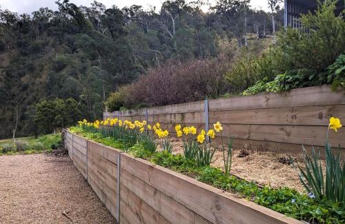 Dargo House | Parsons Flat River Barn