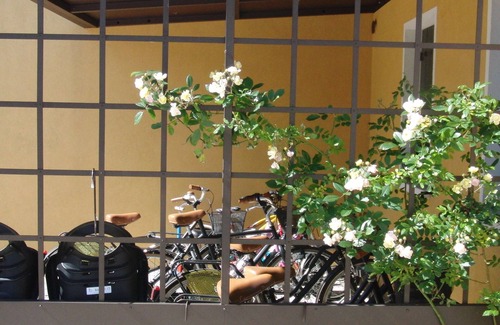 Oriago House | "Particolari del Brenta" - Elisa accommodation - Comfortable house with garden in Venice