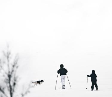 Ii Ski Chalet | Pauha - Aurora Nights at the Seaside Cabin