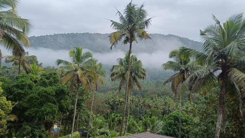 Irinjalakuda House | Pavans Rainy Days Home Stay