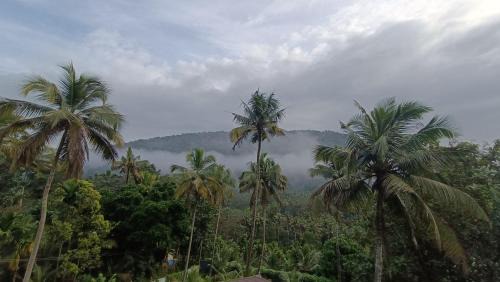 Irinjalakuda House | Pavans Rainy Days Home Stay