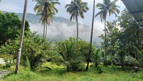 Irinjalakuda House | Pavans Rainy Days Home Stay