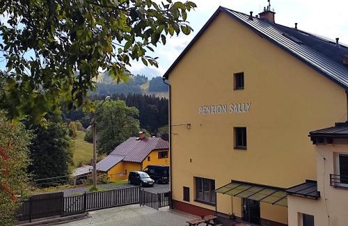Albrechtice v Jizerskych horach House | Penzion Sally
