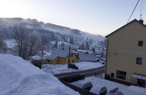 Albrechtice v Jizerskych horach House | Penzion Sally