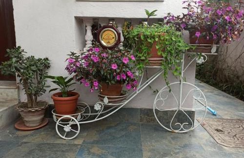 Kathmandu Apartment | Peace Home Apartment Swayambhu
