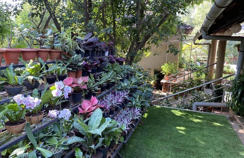 Karjat House | Peace Lily Cottage