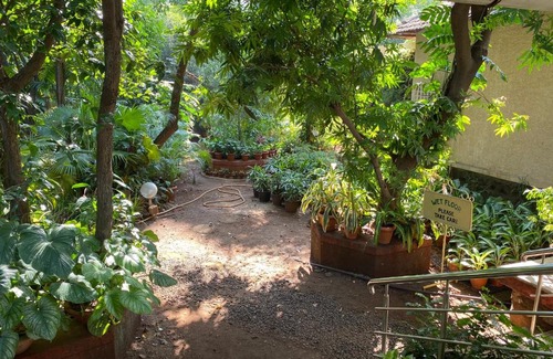 Karjat House | Peace Lily Cottage