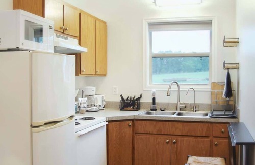Caplinger Mills Cottage | Peace on the River: King Bed, Dogs Ok (Cabin 3)