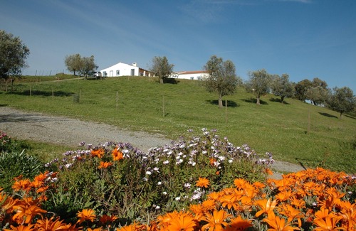 Santiago do Escoural House | Peaceful Country Holiday Home with Swimming Pool In a Wine Region