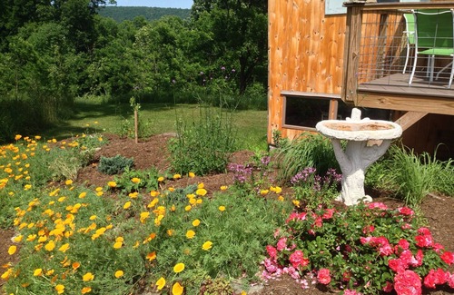 Newfield House | Peaceful country stay for two