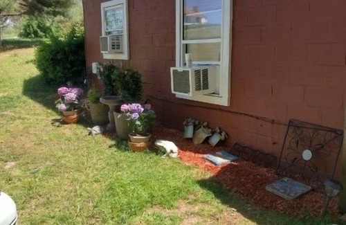 Oldhams Apartment | Peaceful Pond Retreat offers a home away from home!