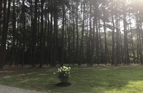 Kilmarnock Cottage | Peaceful Waterfront Cottage on VA’s Northern Neck