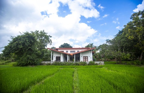 Dambulla House | Peacock House Sigiriya