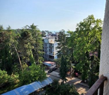Magnetiti Apartment | Pearl of Ureki