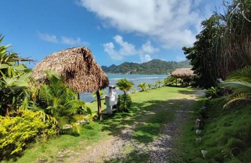 Eastern Panama Apartment | Pebos Reef