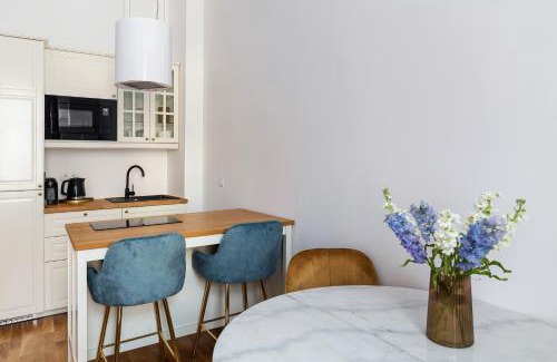 Cluj-Napoca City Centre Apartment | pedestrian street in city center for comfortable and beautiful stay with all comodities within walking distance