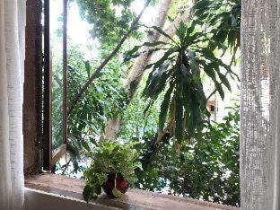 Daun Penh Hotel | Penh House Hotel