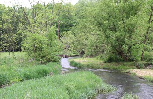 Spring Mills House | Penn's Creek Symphony