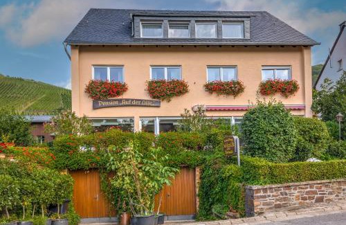 Veldenz House | Pension Auf der Olk mit Röpertsmühle