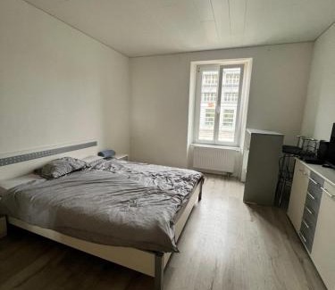 Neuchatel Apartment | Pension des Draizes