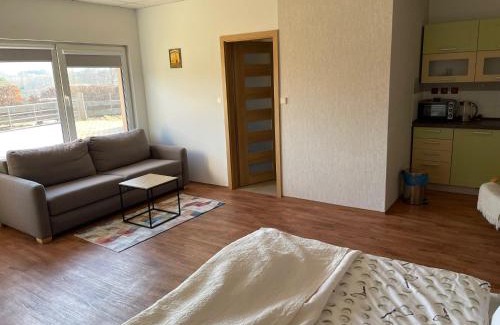 Broumov Apartment | Pension golf club Grosshof
