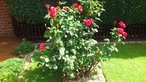 Weeze Bed & Breakfast | Pension Heideweg