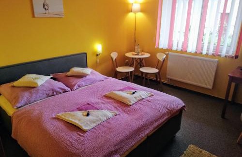 Frantiskovy Lazne House | Pension Three