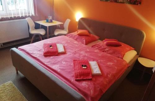 Frantiskovy Lazne House | Pension Three