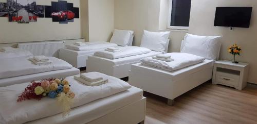 Plana House | Pension TV