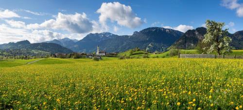 Steinach House | Pension Vendel