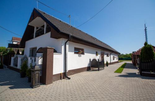 Tomasikovo House | Pension -Villa Vintage Room B 104