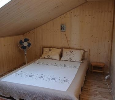 Prahova County House | Pensiune Colina Farm