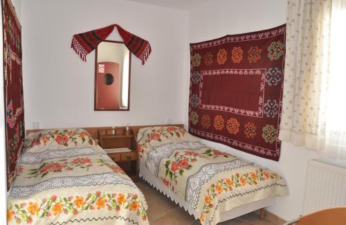 Albesti House | Pensiune Muzeu Traditional Poveste in Transilvania