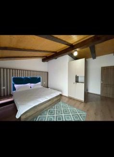 Borsa House | Pensiunea ACASA LA VLADUȚ