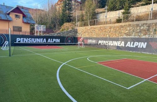 Ranca Cabin | Pensiunea Alpin SPA