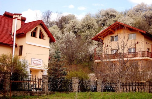 Viisoara House | Pensiunea Ambiance