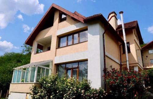 Viisoara House | Pensiunea Ambiance