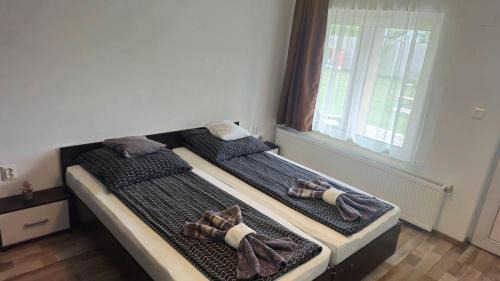Carei House | Pensiunea Andusia