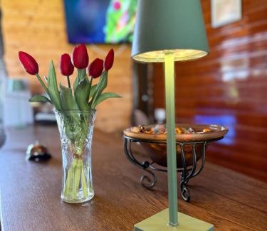 Livezile House | Pensiunea Bodrogeni