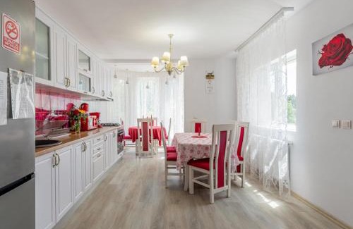 Slanic House | Pensiunea Casuta cu Trandafiri 2