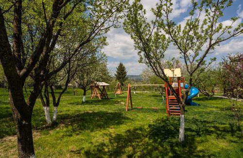 Viseu de Sus House | Pensiunea Coronita
