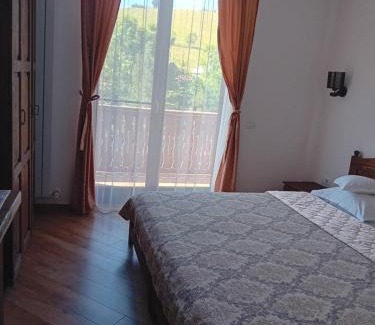 Vatra Moldovitei House | Pensiunea Delia