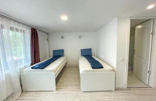 Ciucea House | Pensiunea Eurosan Codrii Vlasinului