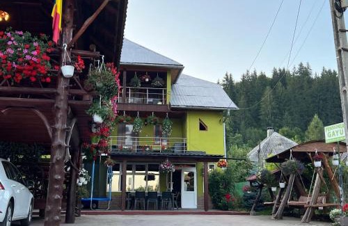 Albac House | Pensiunea Gaiu