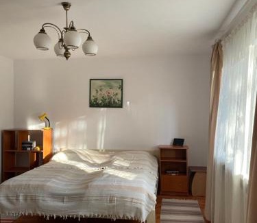 Saru Dornei Villa | Pensiunea La Plai - Oază de Relaxare