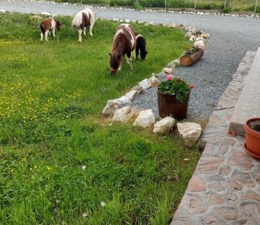 Avram Iancu House | Pensiunea Muntele Gaina