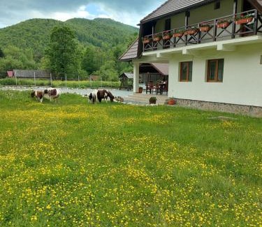 Avram Iancu House | Pensiunea Muntele Gaina