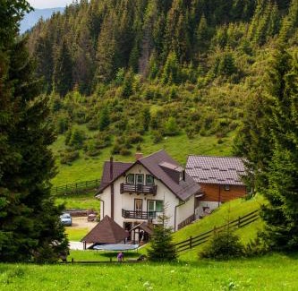 Moeciu de Sus House | Pensiunea Poienita Ursului