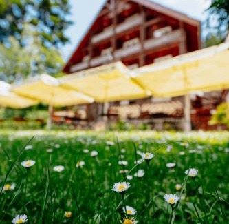 Baile Tusnad House | Pensiunea Vanatorul