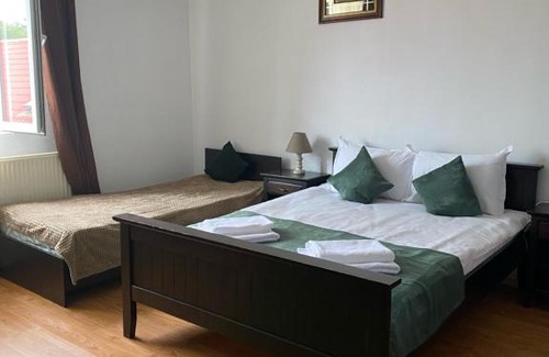 Tirgu Mures Hotel | Pensiunea Viena